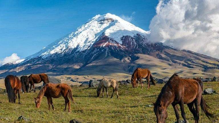 8 Days: Cotopaxi: A Thrilling Climbing Expedition trip - alternative tour available