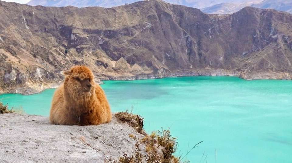 12 Days Exploring Ecuador: From the Andes to the Coast - Responsible Travel South America - Ecuador - Image 4