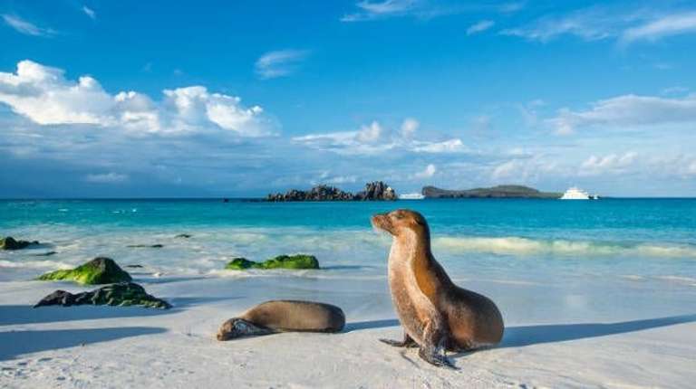 5 Days Galapagos Expedition Tour trip - alternative tour available