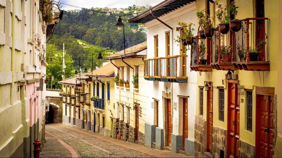 11 Days around Ecuador's Nature and Culture - undefined - Image 4