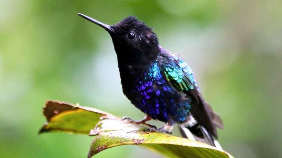 8 Days Ecuadorian Andes, Nature and Culture - undefined - Image 6