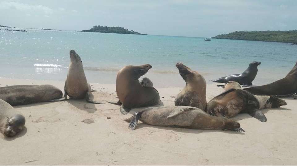 14 Days Peruvian Andes & Galapagos Islands - undefined - Image 3