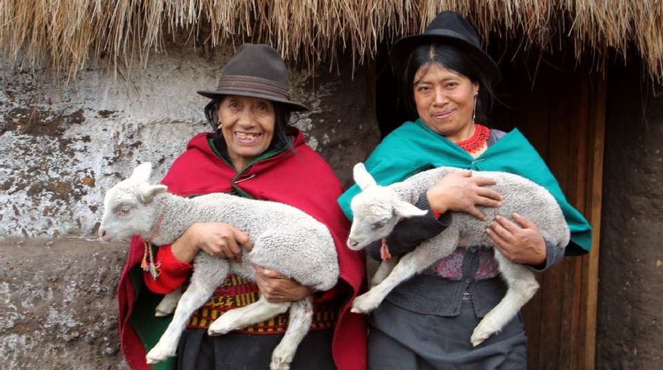 15 Days Exploring Ecuador's Wonders - Responsible Travel South America - Ecuador - Image 2