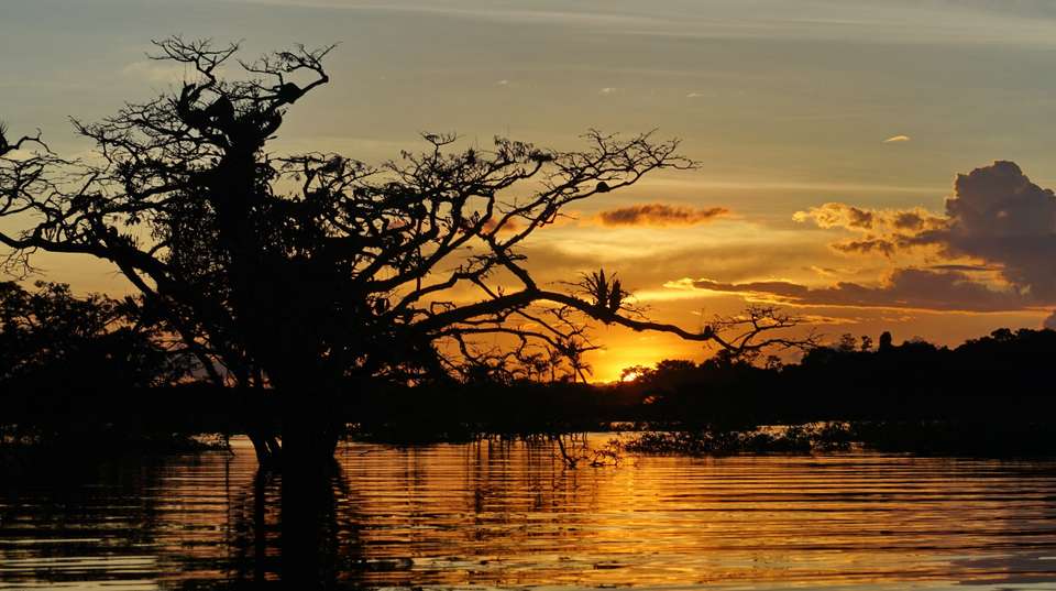 13 Days Andes and Amazon Journey - Responsible Travel South America - Ecuador - Image 3