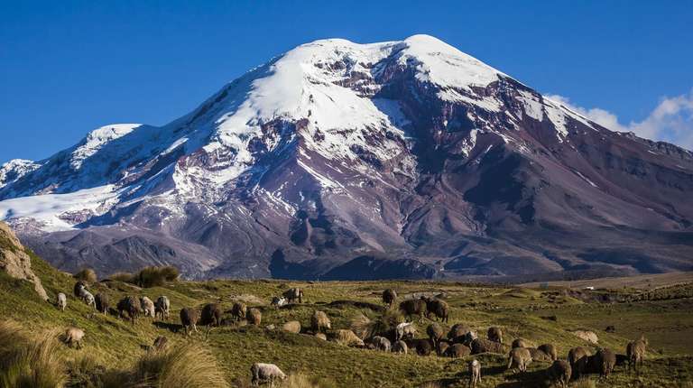 Ecuador Rainforest and jungle visits Tour: 14 Day Andean Cultures Ecuador