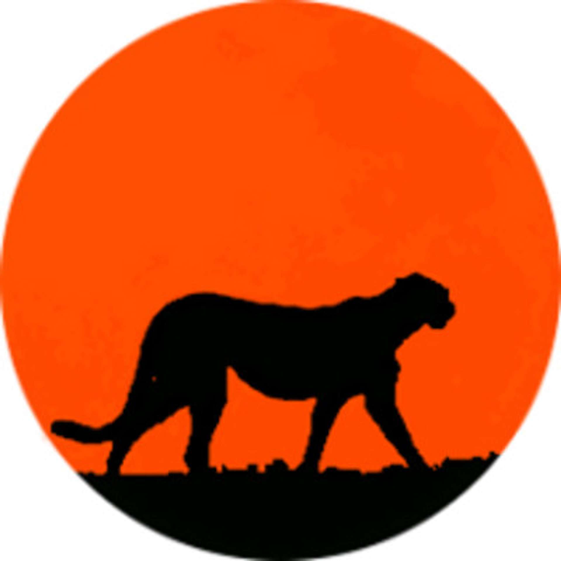 Irina Africa Tours & Safaris