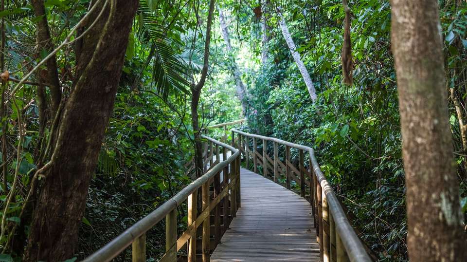 Costa Rica Escape - Expat Explore - Costa Rica - Image 3