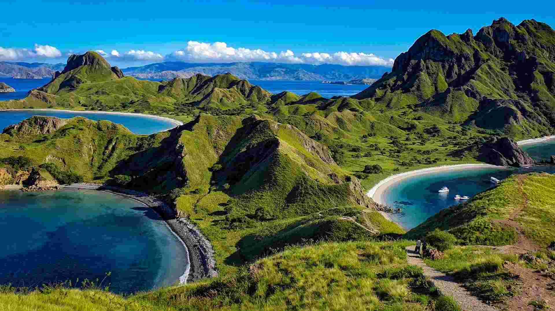 Komodo Liveaboard Tour (3 Days 2 Nights)