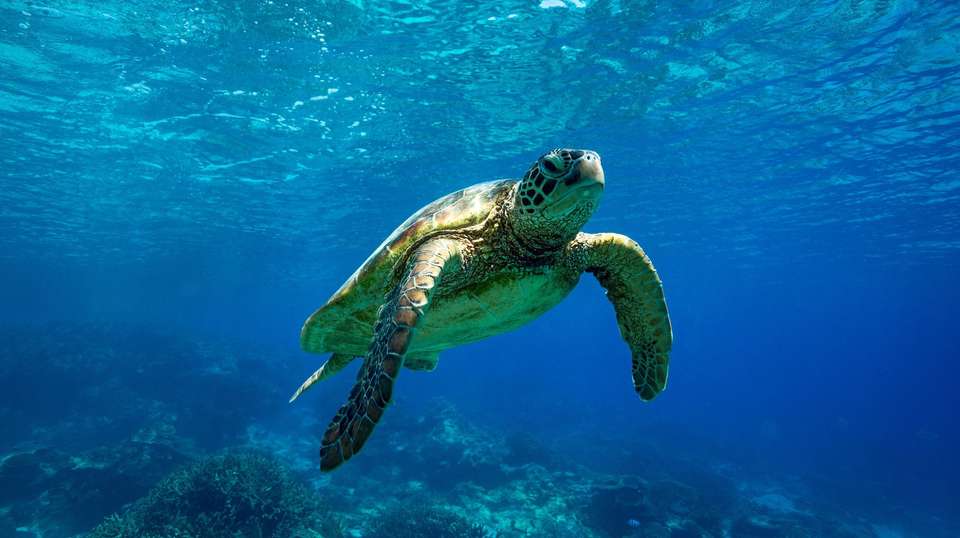 Best of Australia - G Adventures - Australia - Image 17