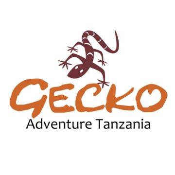 Gecko Adventure