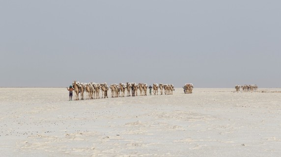 Image 4 of 4