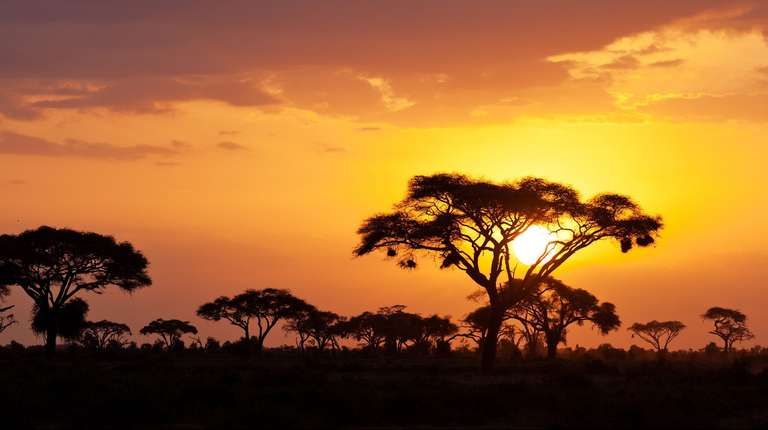 4 Days Masai Mara Camping Safari from Nairobi trip - alternative tour available