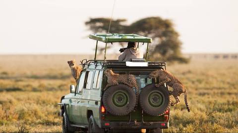 5 Days Best Of Tanzania Safari On 4x4 Land Cruiser Jeep - April 2027