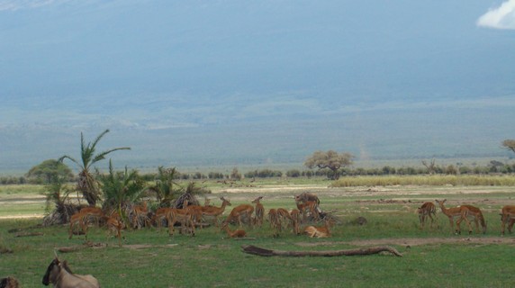 Image 4 of 5