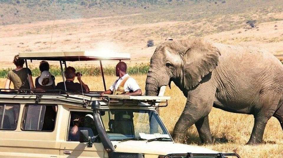 5 Days Best of Tanzania Safari on 4x4 Land Cruiser Jeep - Gracepatt Ecotours Kenya - Tanzania - Image 5