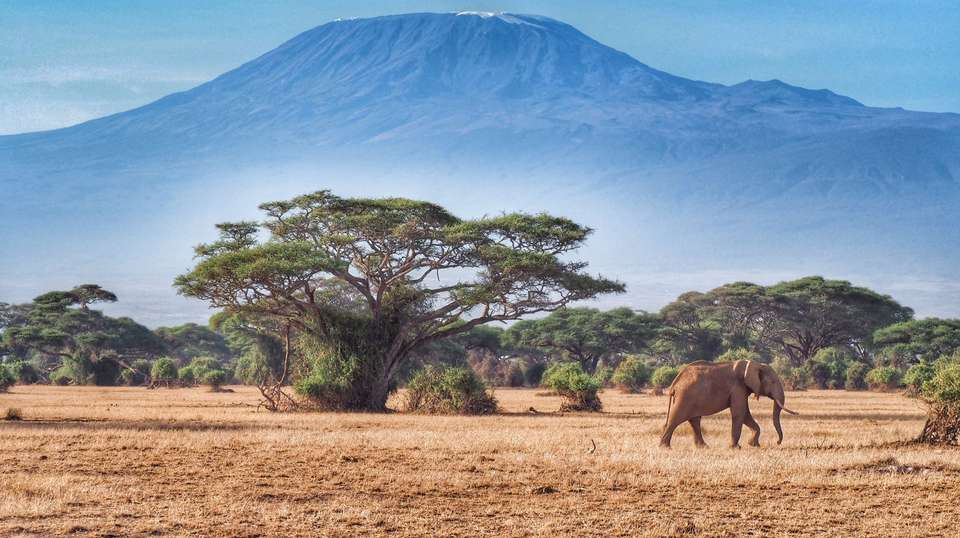 4 Day Safari: Amboseli,Tsavo West &Tsavo East - Gracepatt Ecotours Kenya - Kenya - Image 5