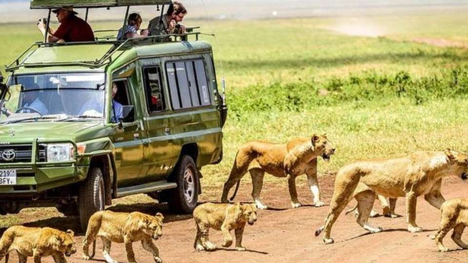 5 Days Best of Tanzania Safari on 4x4 Land Cruiser Jeep - Gracepatt Ecotours Kenya - Tanzania - Image 2