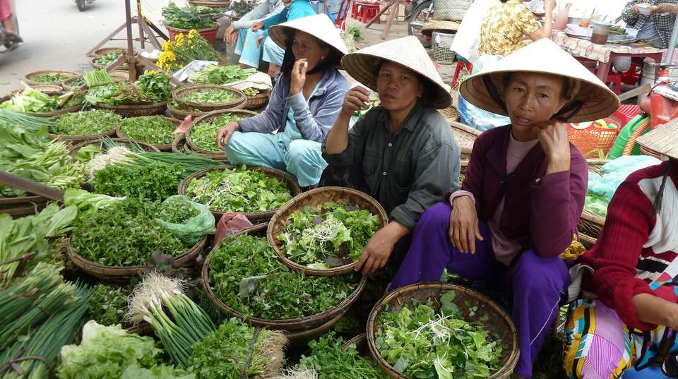 Cooking Class in Hoian - Gray Line Vietnam - Vietnam - Image 4