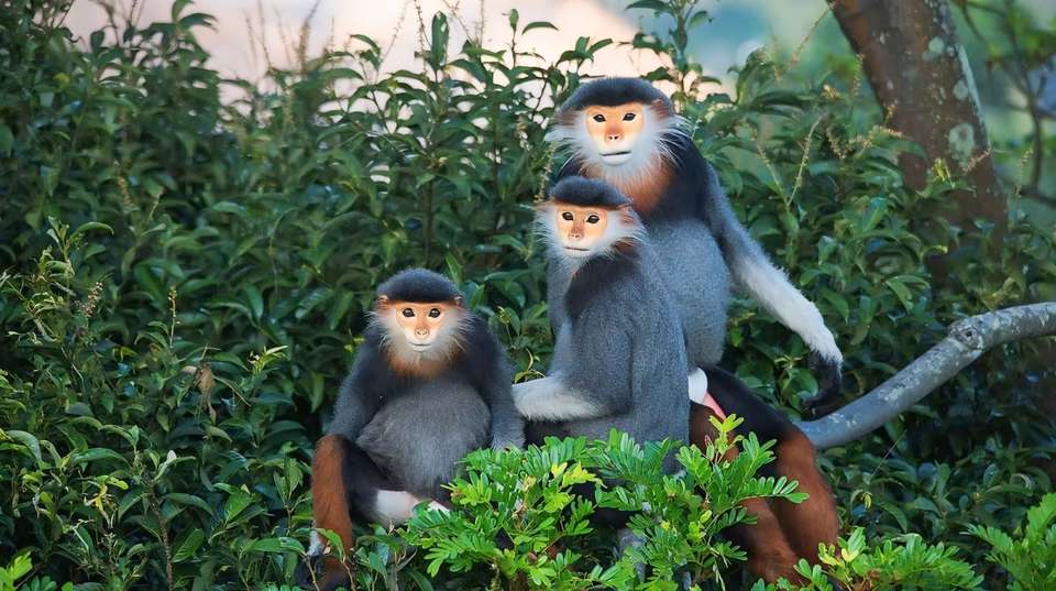 Marble Mountains - Monkey Mountains - My Son Holyland - undefined - Image 6