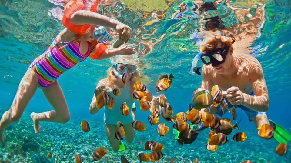 Deluxe Trip: Snorkeling & BBQ & Mud Bath - undefined - Image 4