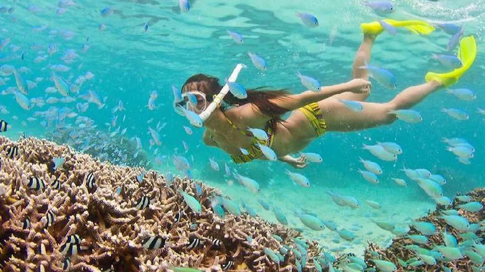 Deluxe Trip: Snorkeling & BBQ & Mud Bath - undefined - Image 3