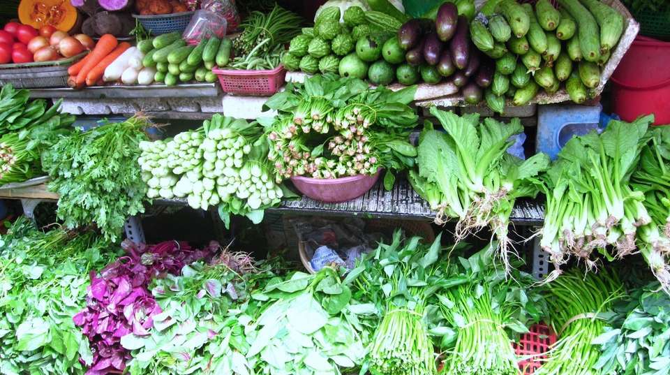 Northern Cuisine - Hanoi Cooking Class - Gray Line Vietnam - Vietnam - Image 4