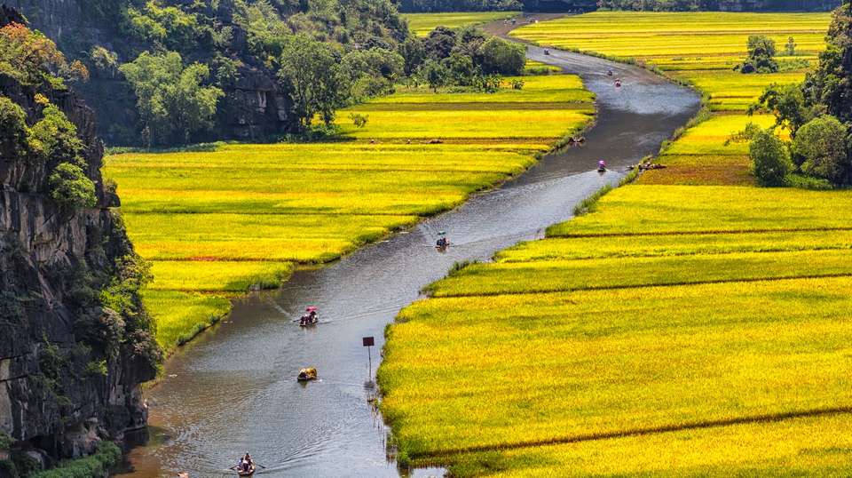 Hoa Lu - Tam Coc Tour With Mua Cave - undefined - Image 3