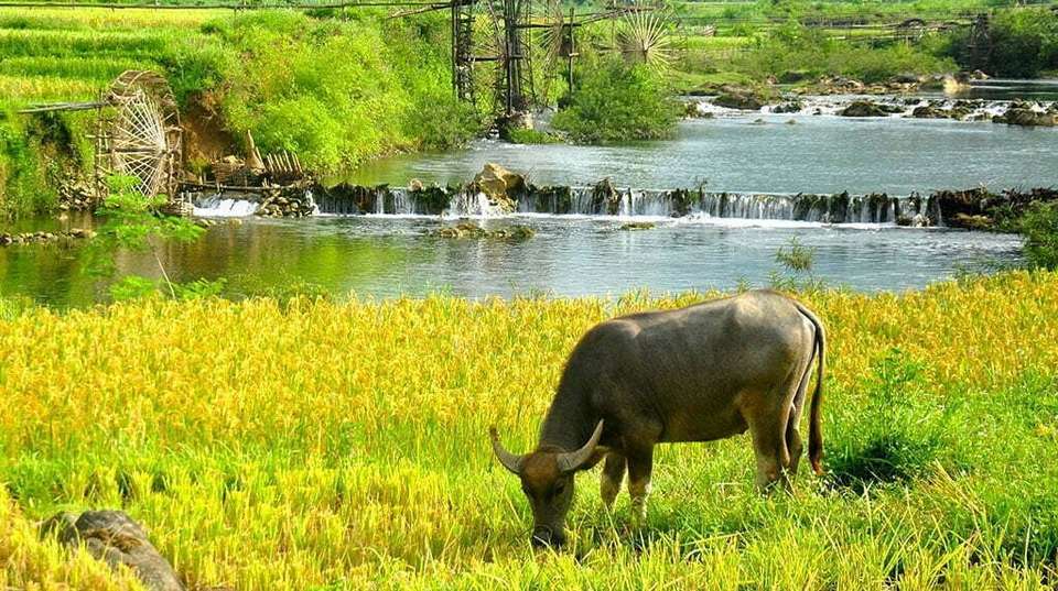 2 Days 1 Night Pu Luong Trekking Tour - undefined - Image 4