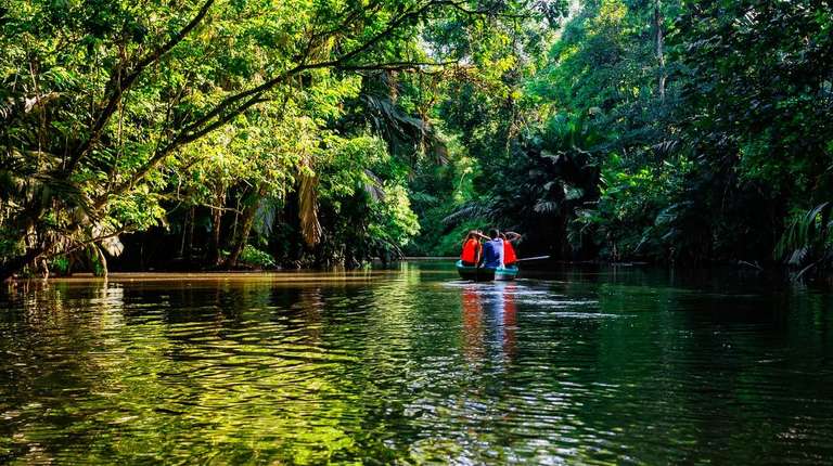 A taste of the Caribbean trip - alternative tour available