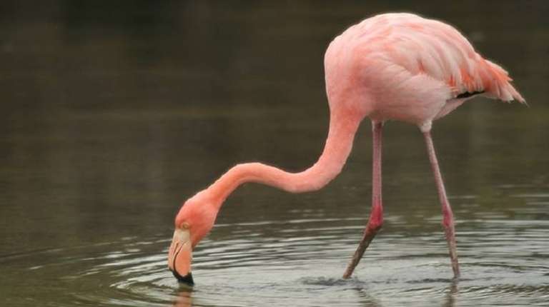 Galapagos Outdoors 9 Day Tour trip - alternative tour available