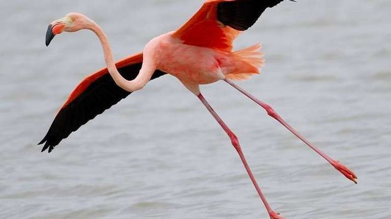 Ultimate Galapagos 6 Days Tour trip - alternative tour available
