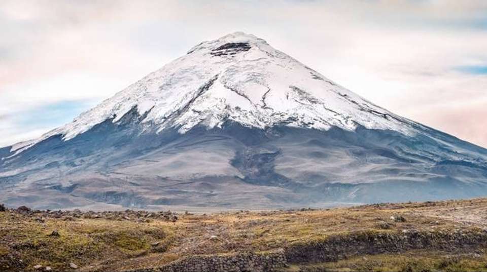 Ecuador Treasures Bucket List 8 Days Tour - undefined - Image 2