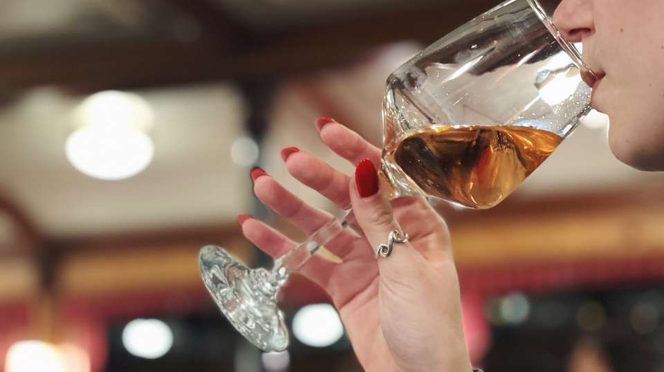 Wine and Dine cruise in Budapest - undefined - Image 2