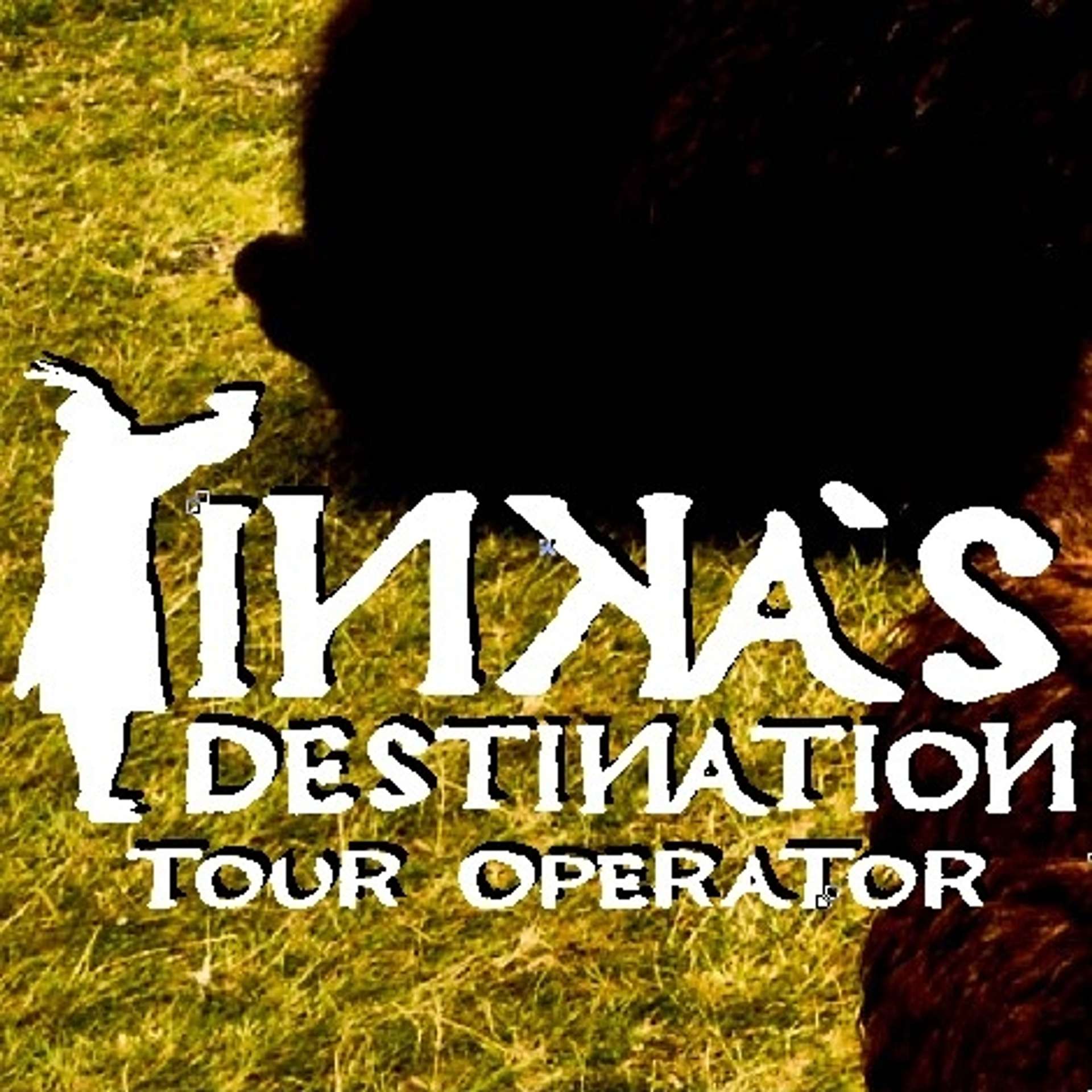 Inkas Destination Tour Operator