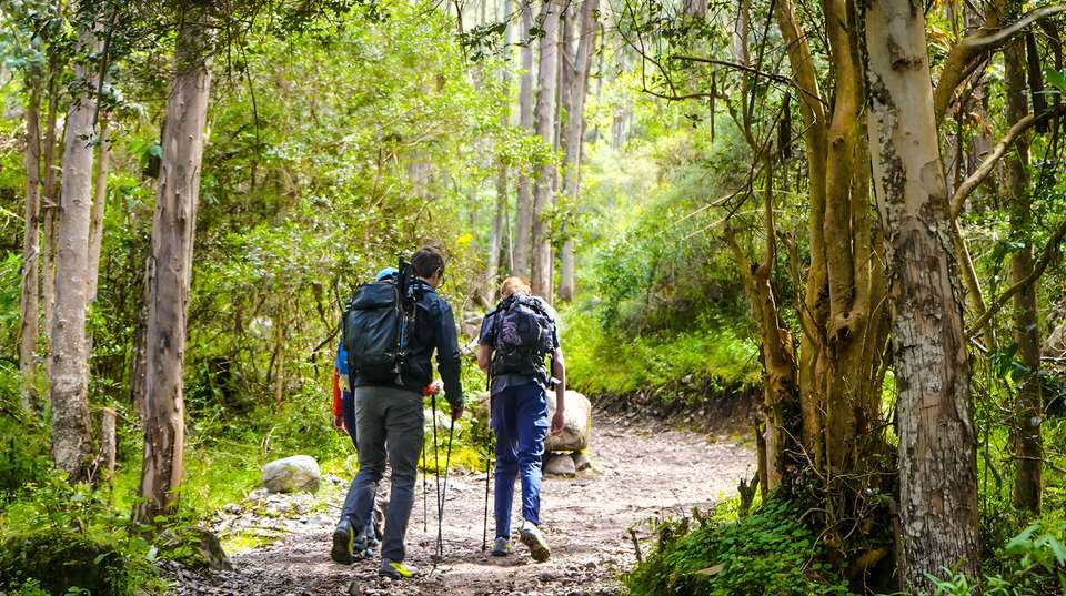 4 day Lares Trek to Machu Picchu - Inkayni Peru Tours - Peru - Image 2