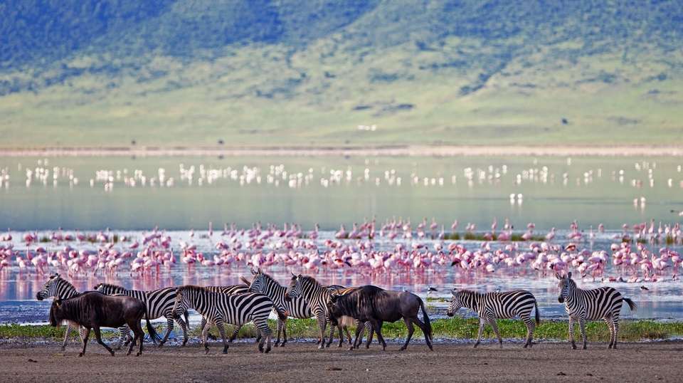 Kenya Safari Group Tour: 7-Day Budget Tour - Jamboree Africa Tours And Safaris - Kenya - Image 3
