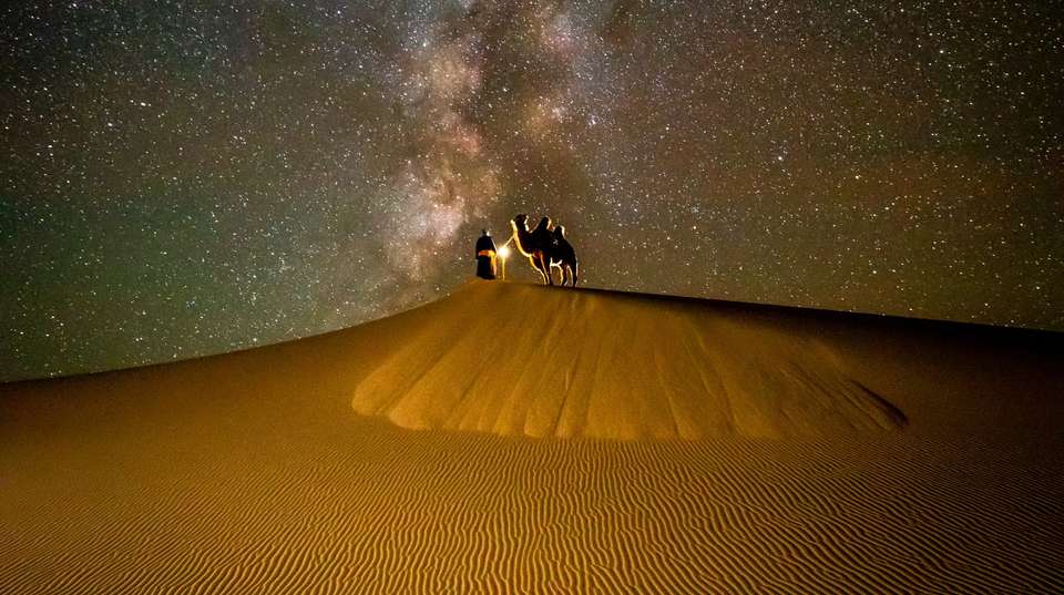Mongolian Odyssey: Gobi Trails 10 Days - Juulchin Llc - Mongolia - Image 7
