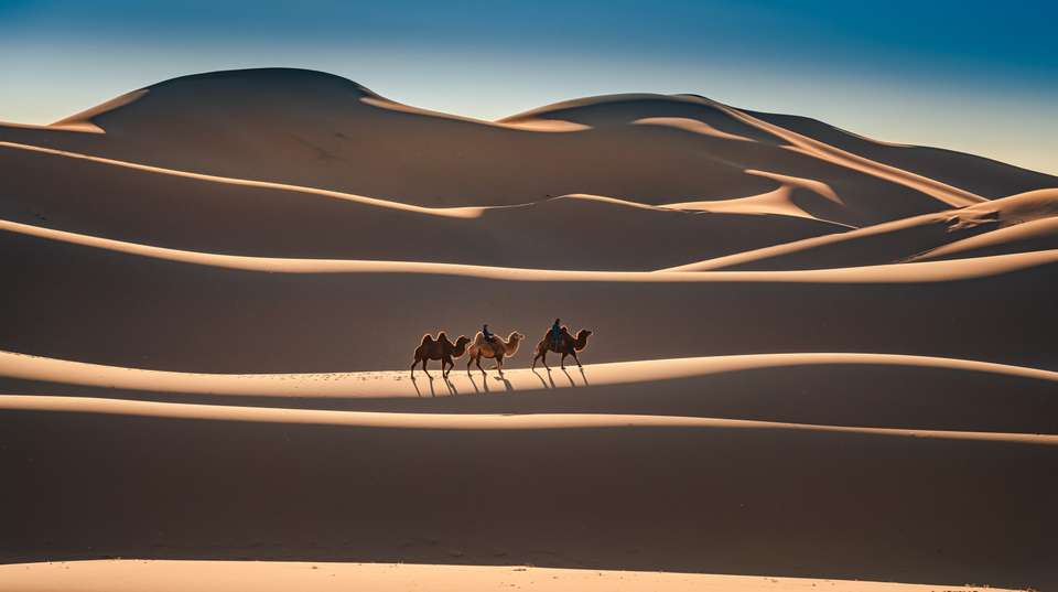 Mongolian Odyssey: Gobi Trails 10 Days - Juulchin Llc - Mongolia - Image 1