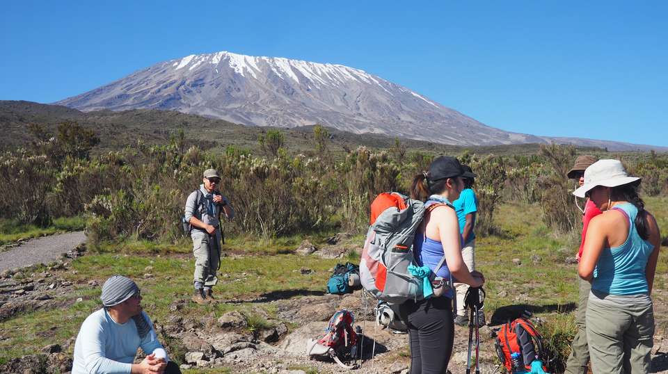 Kilimanjaro Trek – Machame Route in 9 days - Kilimanjaro Trekking Mate - Tanzania - Image 8