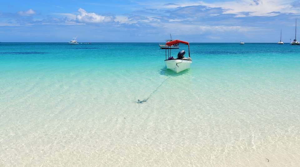  Tanzania Wildlife Safari and Zanzibar Beach Tour - Lights On Africa Destinations & Safaris - Tanzania - Image 6