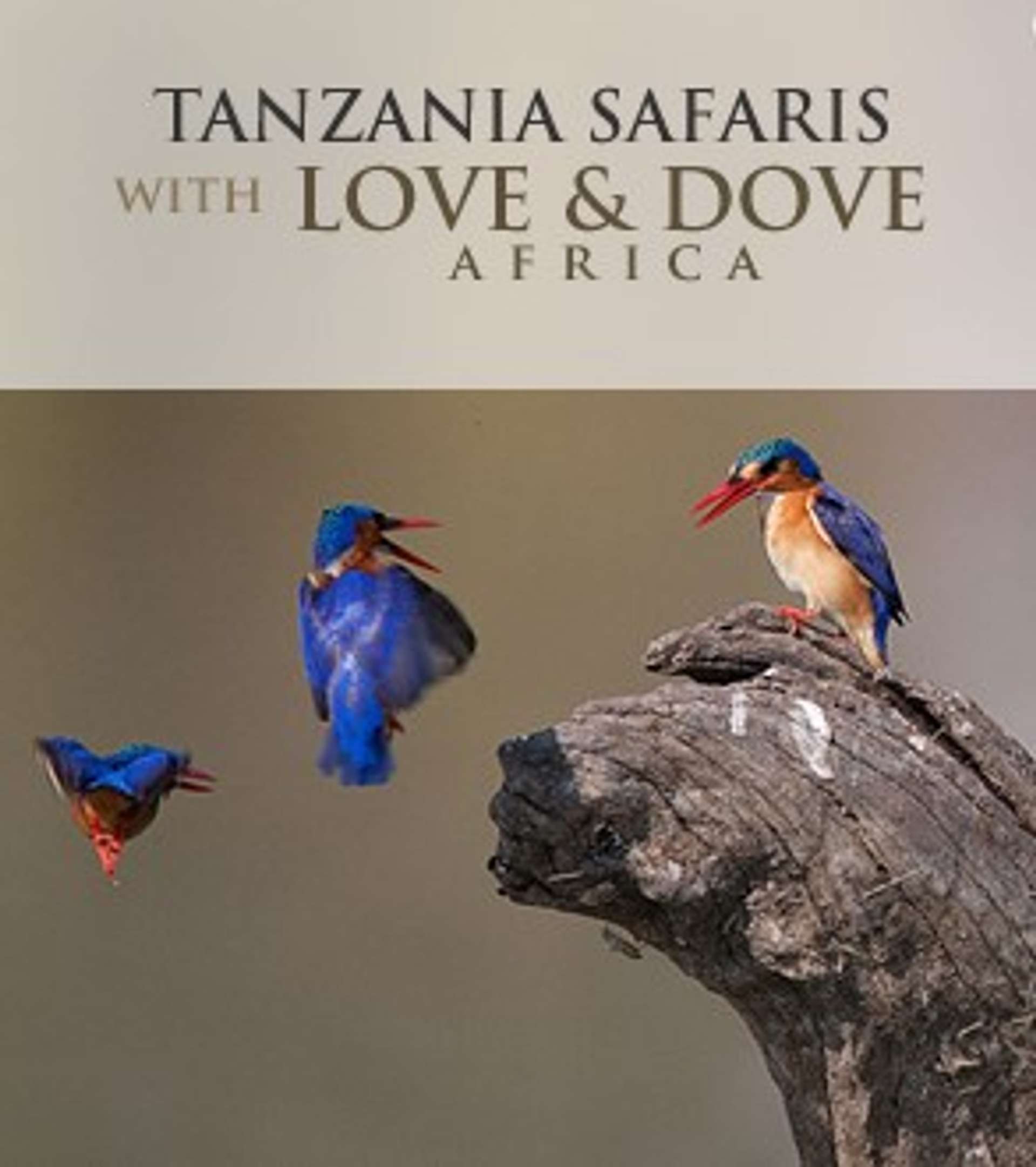 Love and Dove Africa