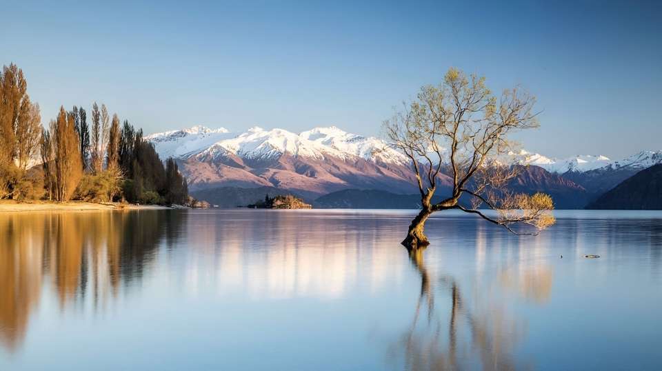 The Long White Cloud - Luxury Gold - New Zealand - Image 2