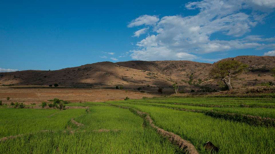 Madagascar's Southern Charm - Malagasya Travel - Madagascar - Image 5