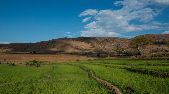Image 5 of 8