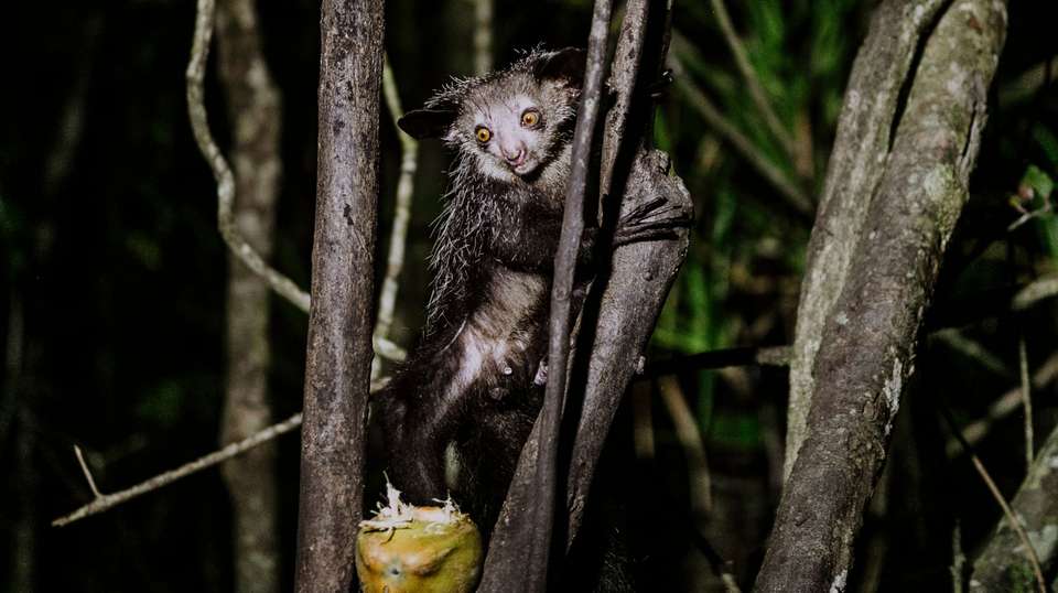 Madagascar's Southern Charm - Malagasya Travel - Madagascar - Image 4
