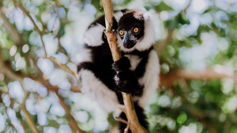 Madagascar's Southern Charm - Malagasya Travel - Madagascar - Image 3