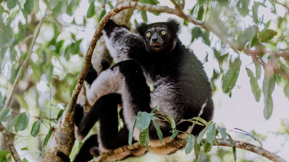 Madagascar's Southern Charm - Malagasya Travel - Madagascar - Image 2