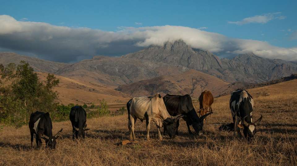 Madagascar's Southern Charm - Malagasya Travel - Madagascar - Image 1