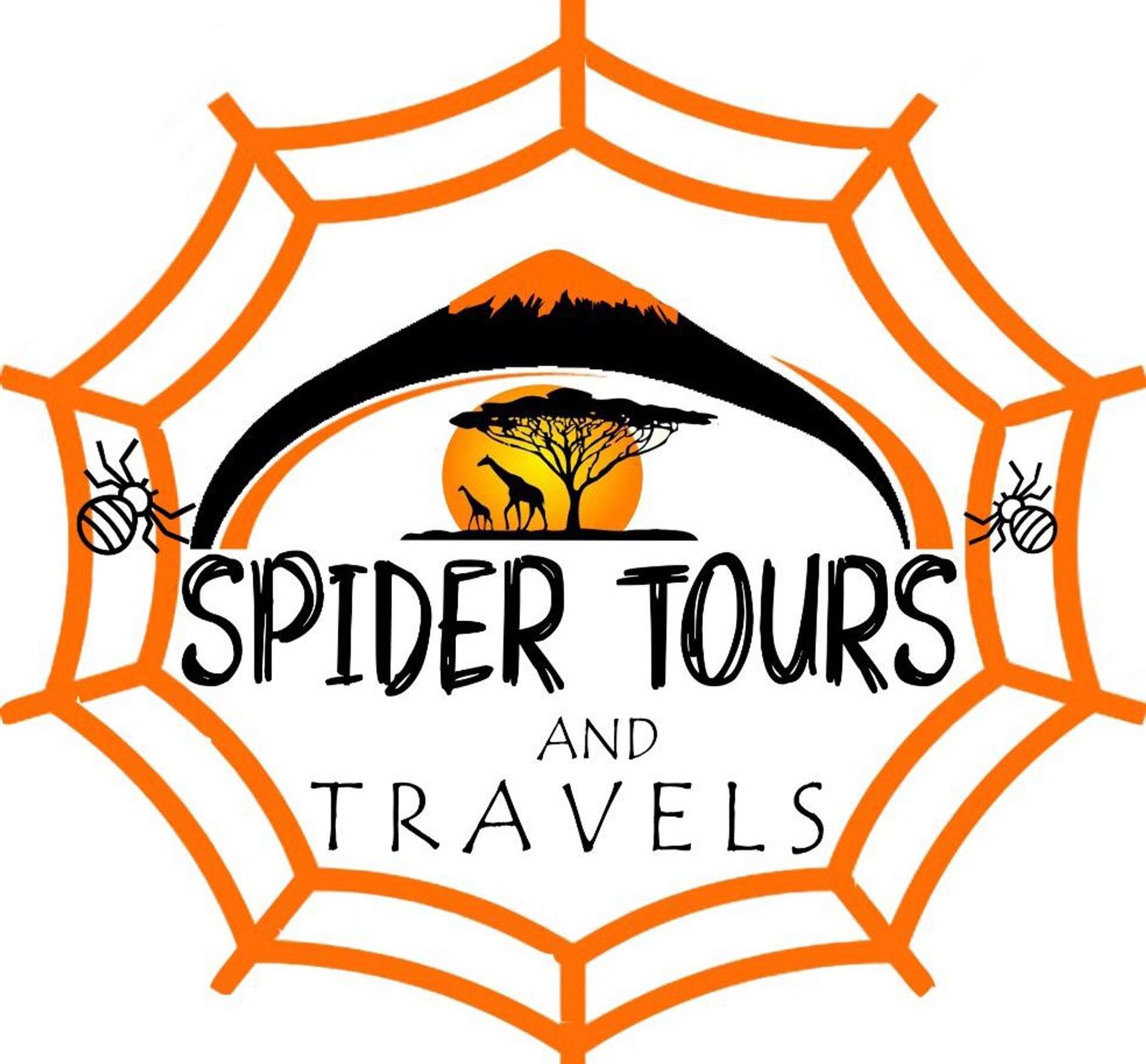 Spider Tours And Safaris