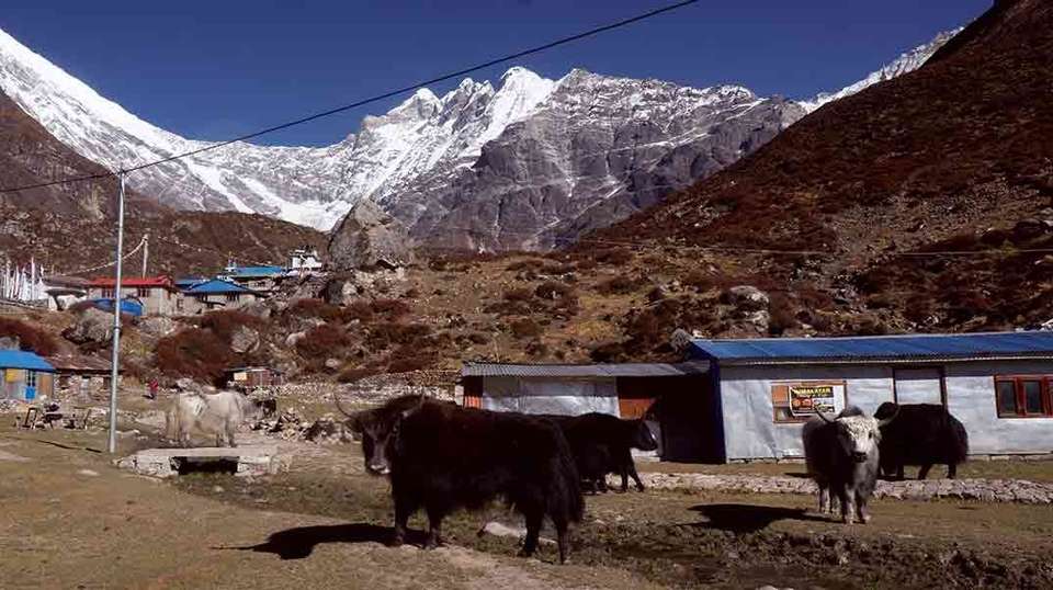 Langtang Valley Trek - Mount Adventure Holidays - Nepal - Image 2